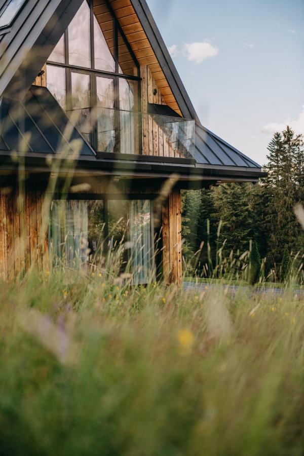 Sywarne Chalet Kościelisko Exteriér fotografie