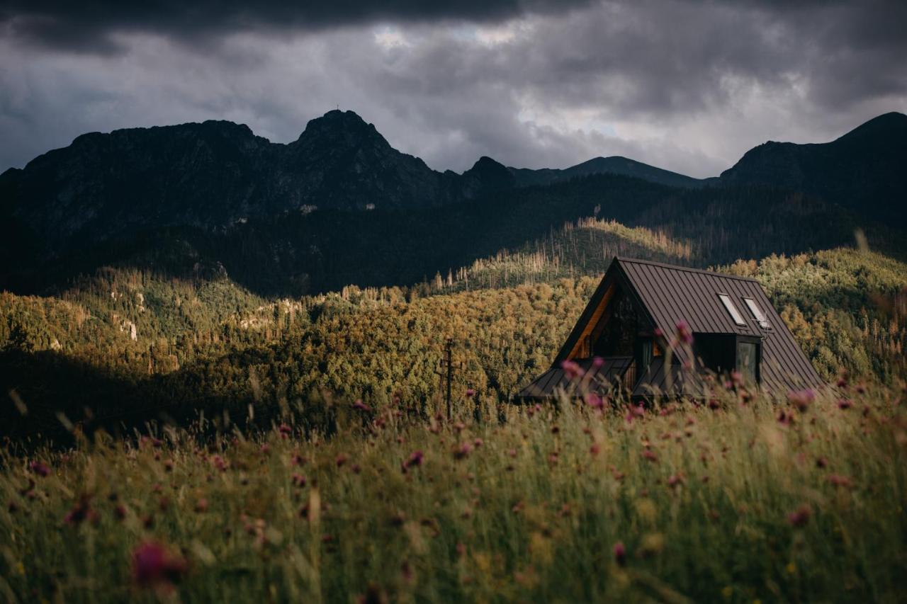 Sywarne Chalet Kościelisko Exteriér fotografie